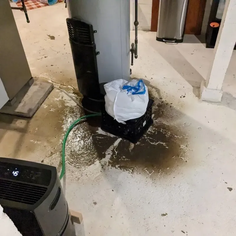 Sewage Backup Cleanup Service in Wellman, IA